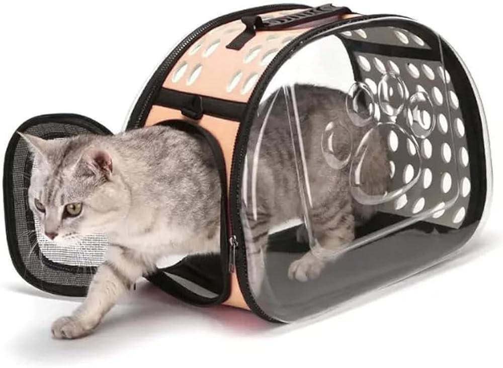 حقائب النقل